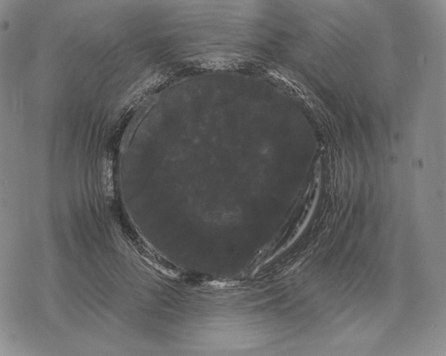 X0000071900696200607281804