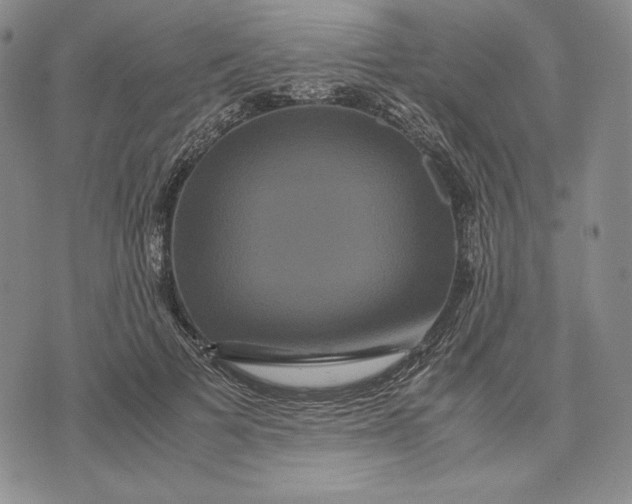 X0000071900697200607281804