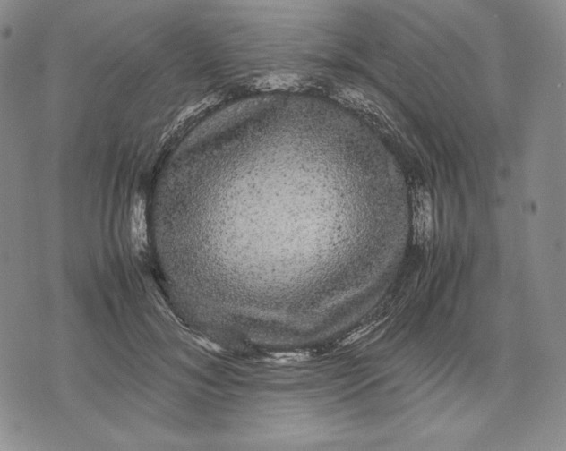 X0000071900700200607281803