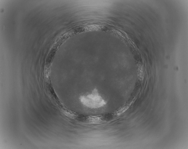 X0000071900701200607281803