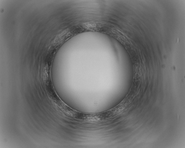 X0000071900702200607281803