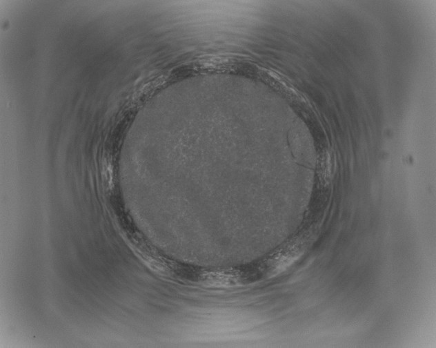 X0000071900703200607281803