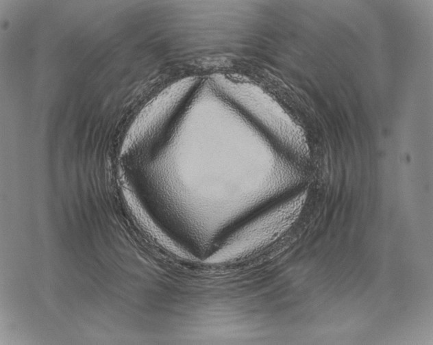 X0000071900704200607281803