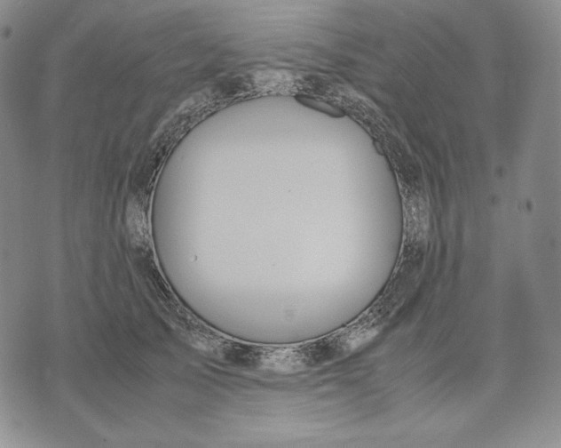 X0000071900705200607281803