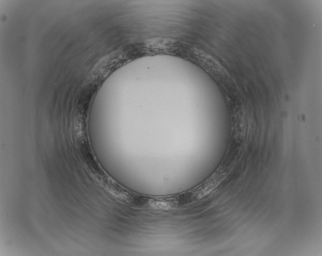 X0000071900706200607281803