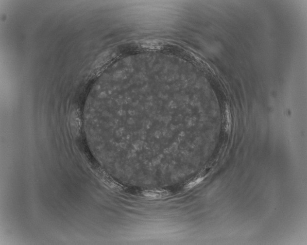 X0000071900707200607281803