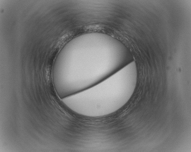 X0000071900708200607281803