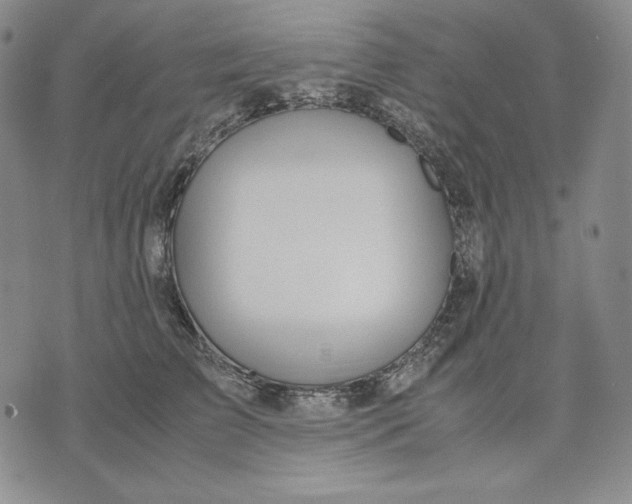 X0000071900709200607281803