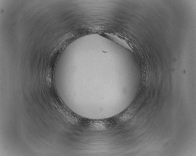 X0000071900710200607281803