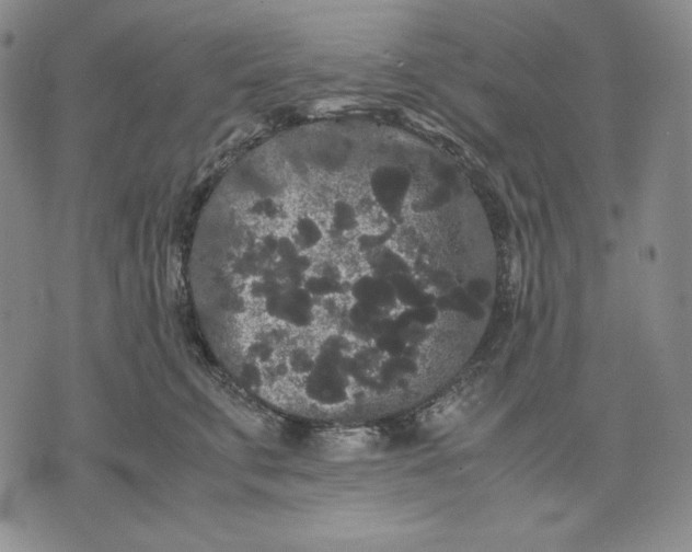 X0000071900711200607281803