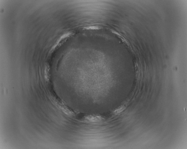 X0000071900712200607281803