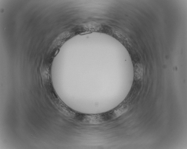 X0000071900713200607281803