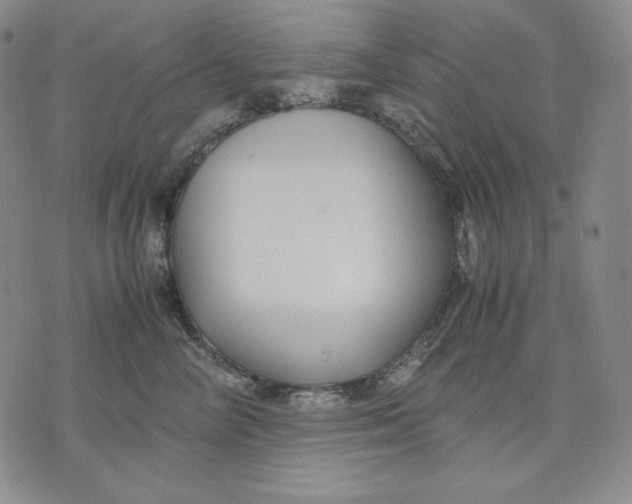 X0000071900714200607281803