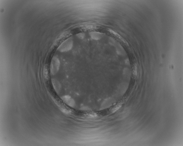 X0000071900715200607281803