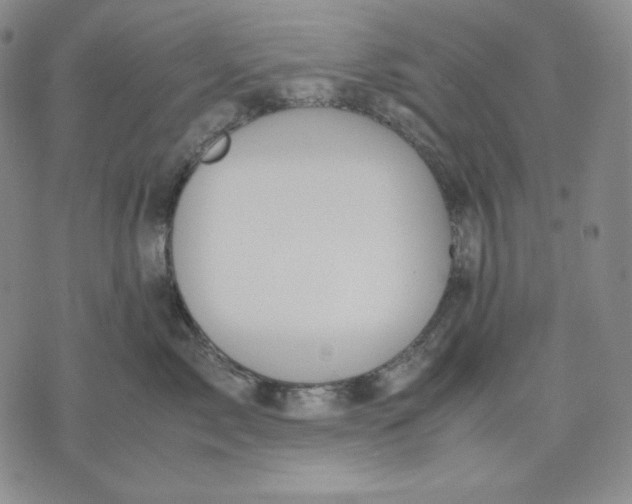 X0000071900717200607281803