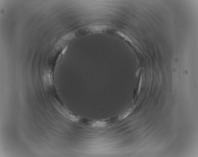 X0000071900718200607281803