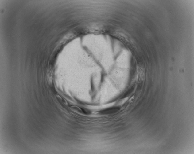 X0000071900719200607281803