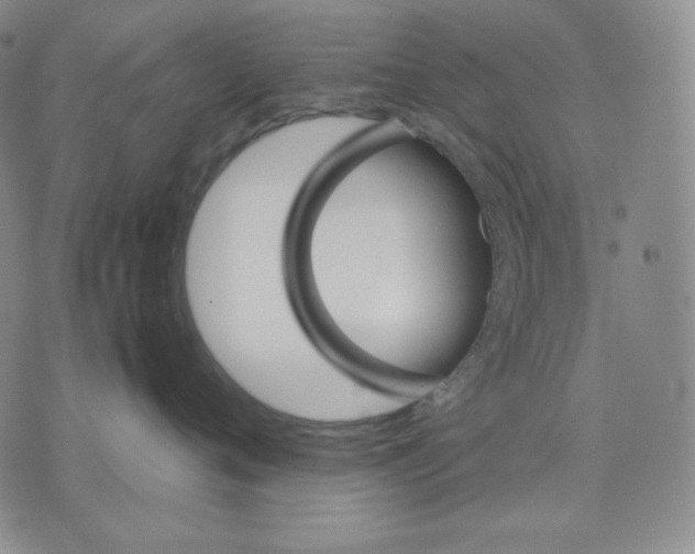 X0000071900720200607281803