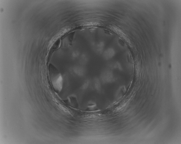 X0000071900721200607281802