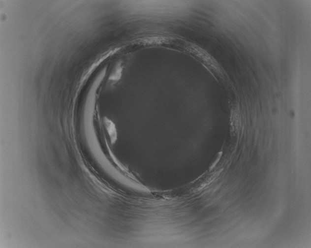 X0000071900722200607281802