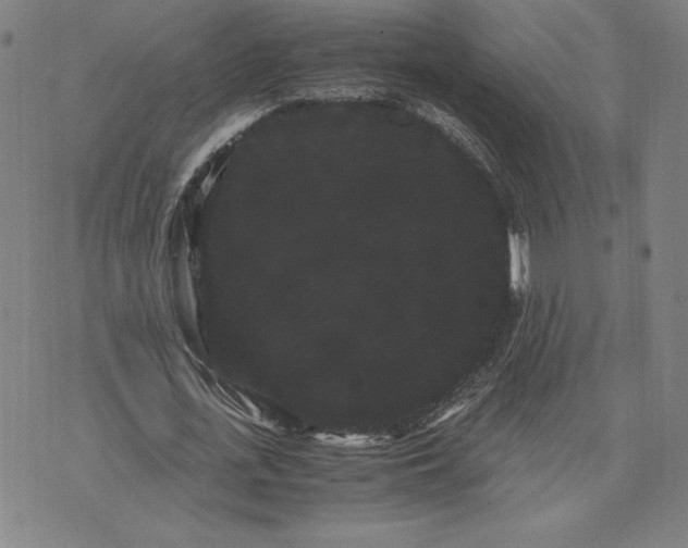 X0000071900723200607281802