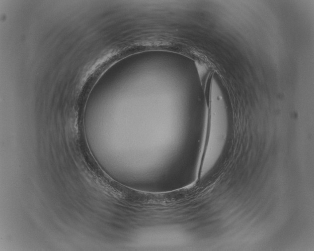 X0000071900727200607281802