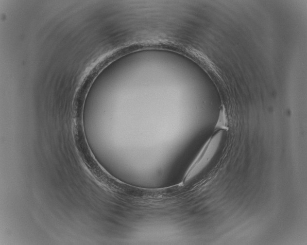 X0000071900728200607281802