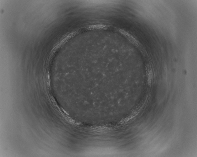 X0000071900729200607281803