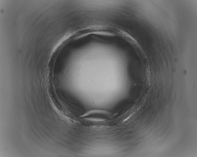 X0000071900730200607281803