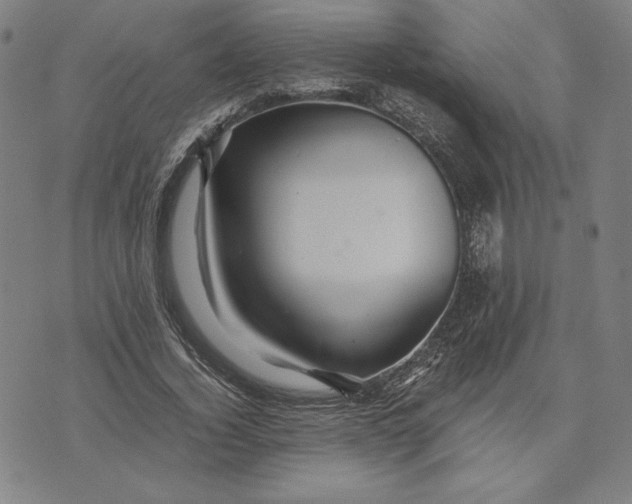 X0000071900732200607281803