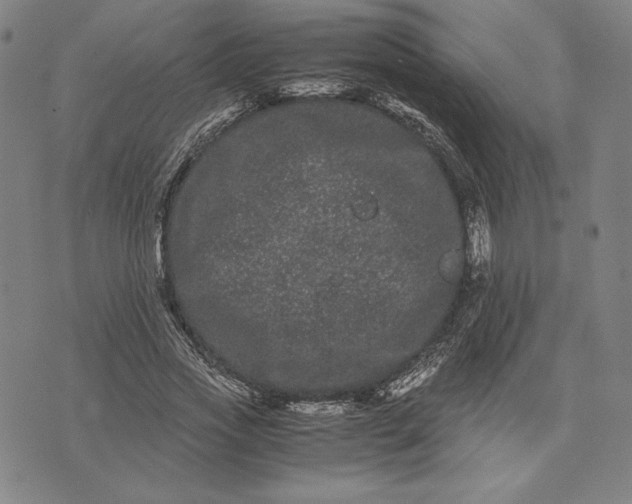 X0000071900733200607281803