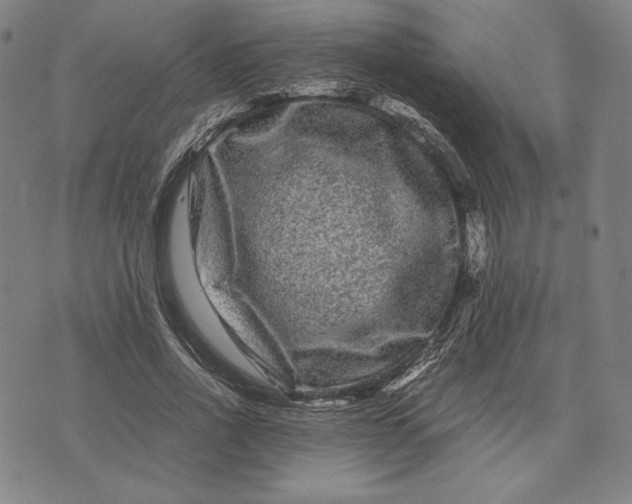 X0000071900734200607281803