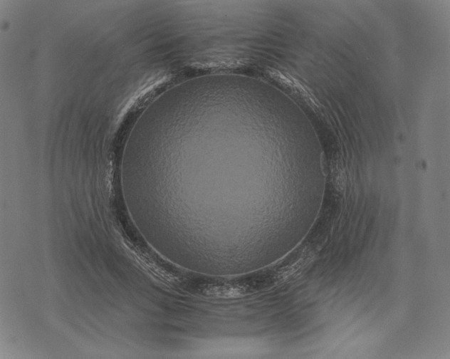 X0000071900735200607281803