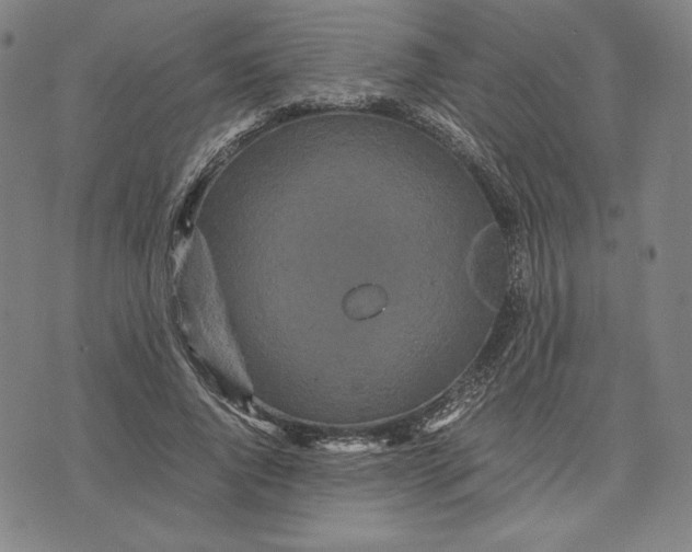 X0000071900736200607281803