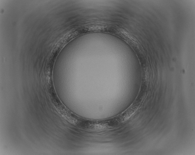 X0000071900737200607281803