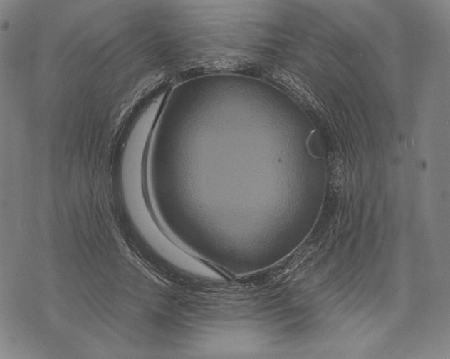 X0000071900738200607281803