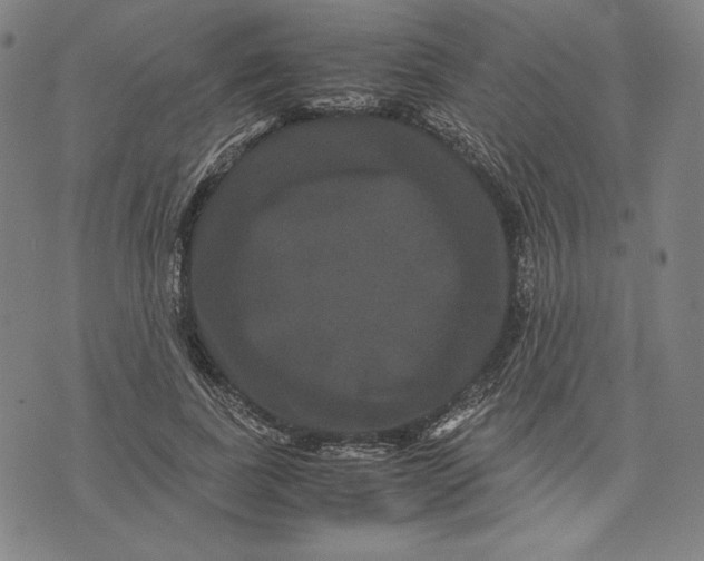 X0000071900739200607281803