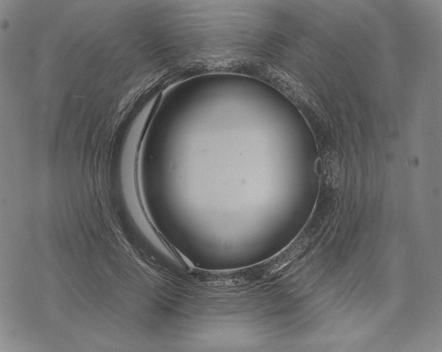 X0000071900740200607281803