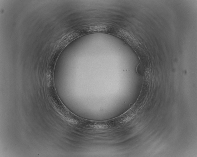 X0000071900741200607281803