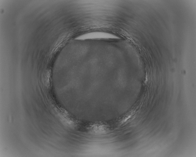 X0000071900742200607281803