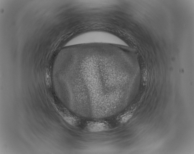 X0000071900743200607281803