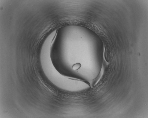 X0000071900744200607281803