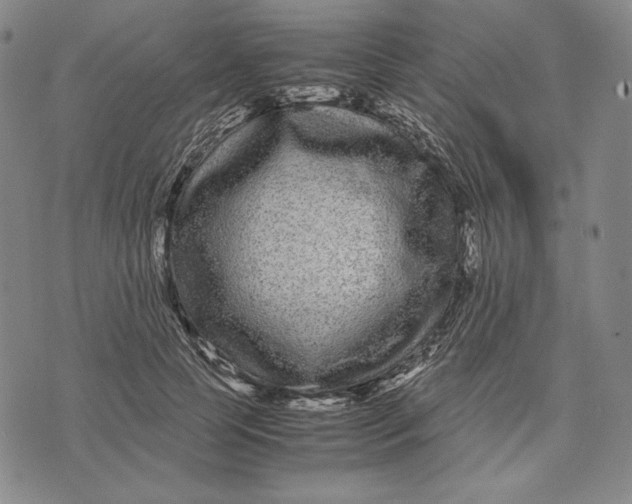 X0000071900745200607281803