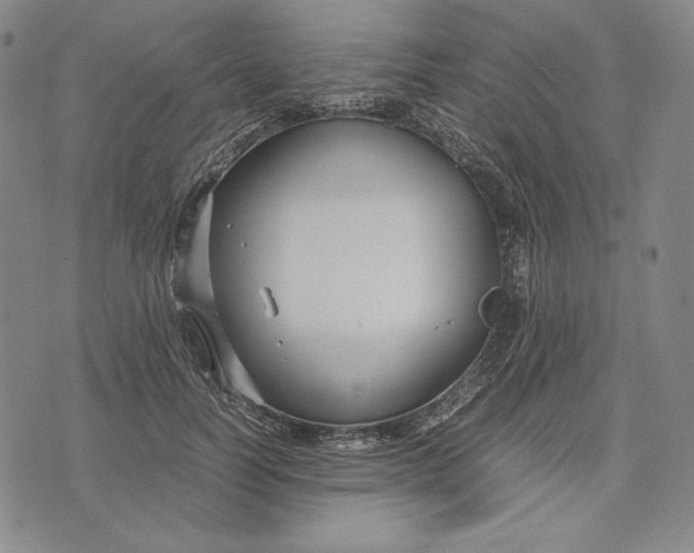 X0000071900746200607281803