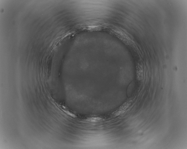 X0000071900748200607281803