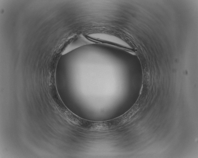 X0000071900750200607281803