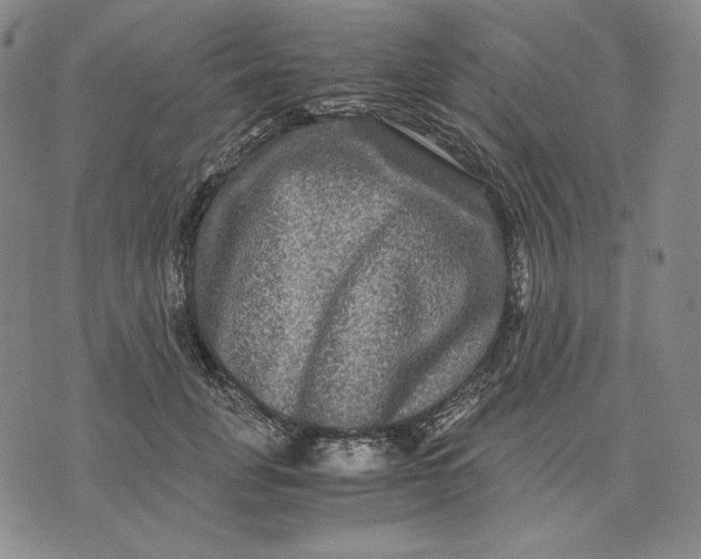 X0000071900751200607281803