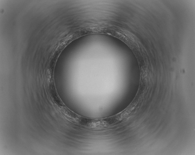 X0000071900752200607281803