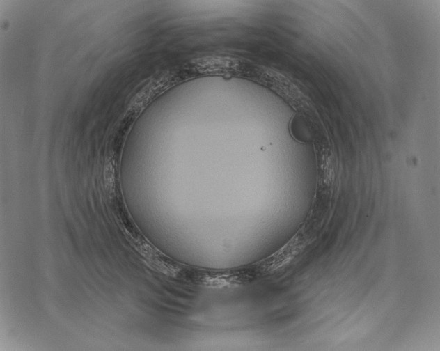 X0000071900753200607281803