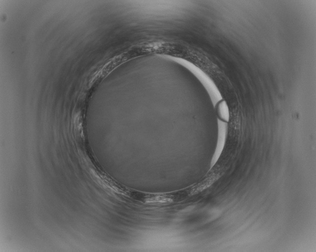 X0000071900754200607281803